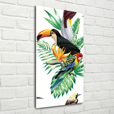 Photo printed on glass Tropical birds