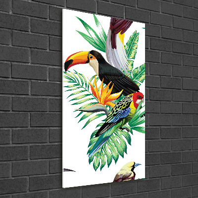 Photo printed on glass Tropical birds