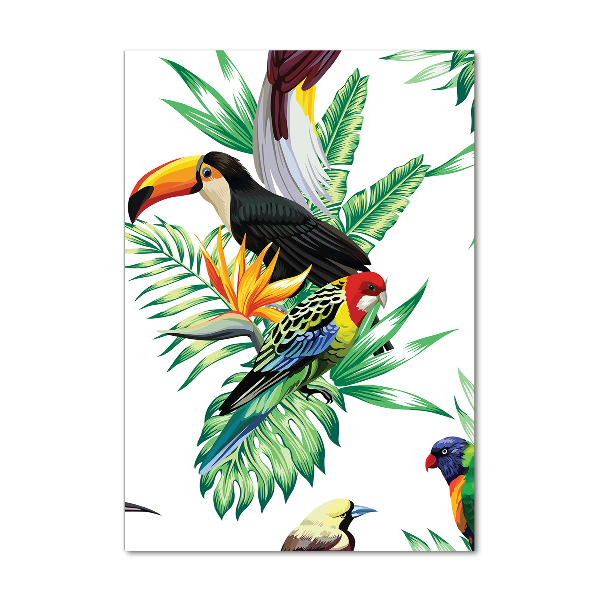 Photo printed on glass Tropical birds