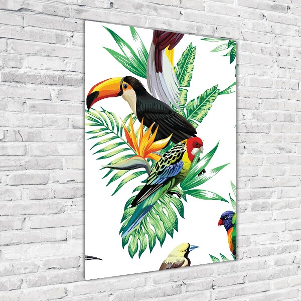 Photo printed on glass Tropical birds