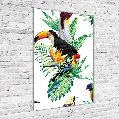 Photo printed on glass Tropical birds