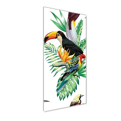 Photo printed on glass Tropical birds