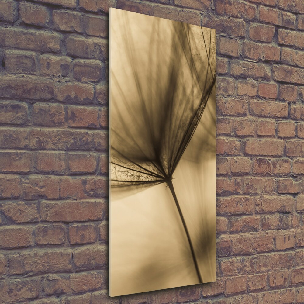 Photo printed on glass Dandelion seed