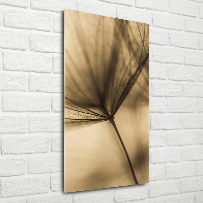 Photo printed on glass Dandelion seed