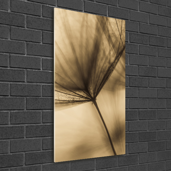 Photo printed on glass Dandelion seed