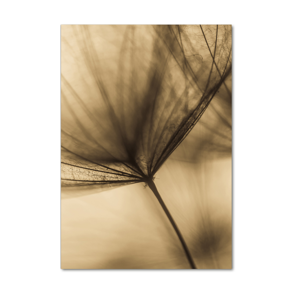 Photo printed on glass Dandelion seed