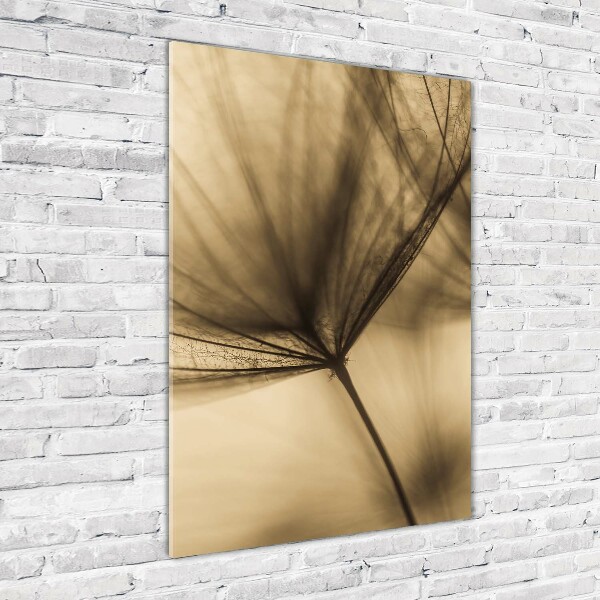 Photo printed on glass Dandelion seed