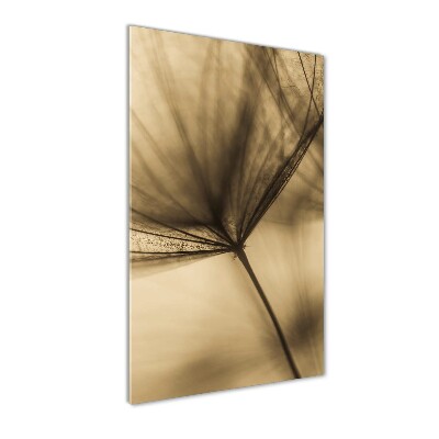 Photo printed on glass Dandelion seed