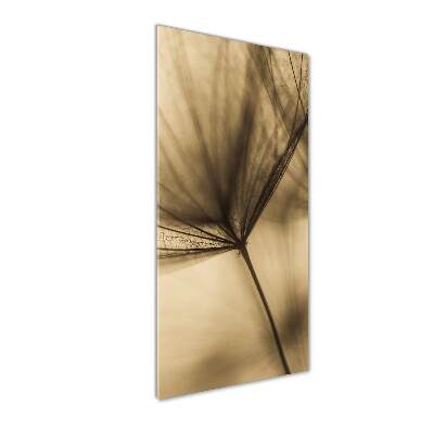 Photo printed on glass Dandelion seed