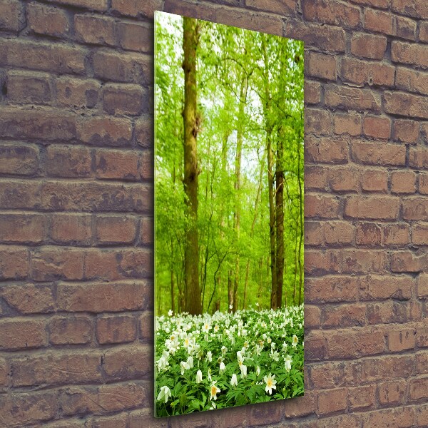 Photo printed on glass Flowers in the forest