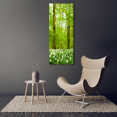 Photo printed on glass Flowers in the forest