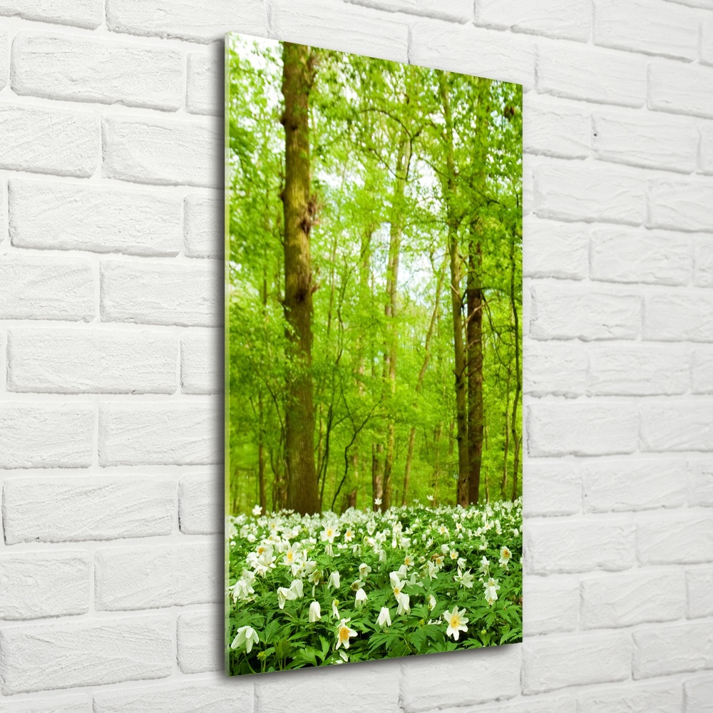 Photo printed on glass Flowers in the forest