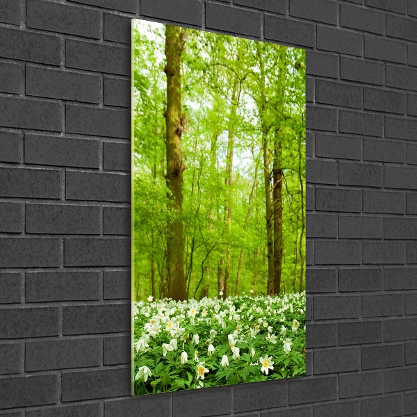 Photo printed on glass Flowers in the forest