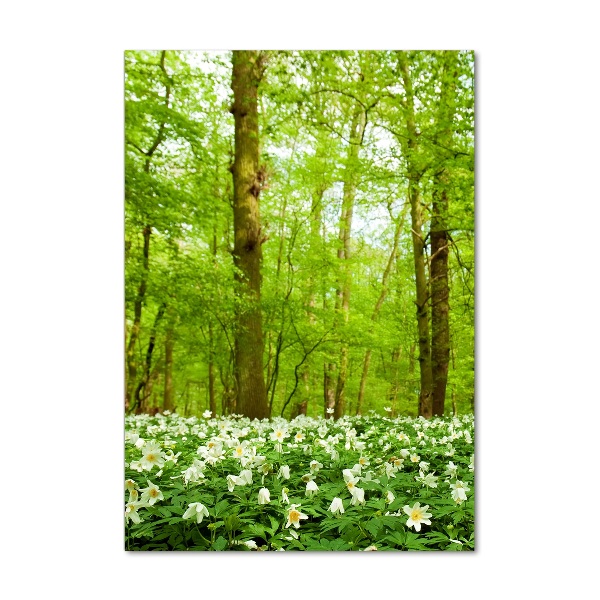 Photo printed on glass Flowers in the forest