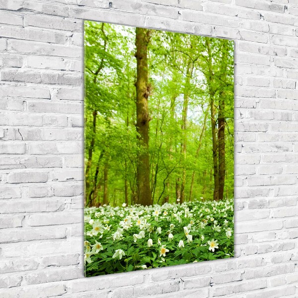 Photo printed on glass Flowers in the forest