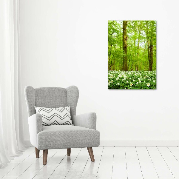 Photo printed on glass Flowers in the forest