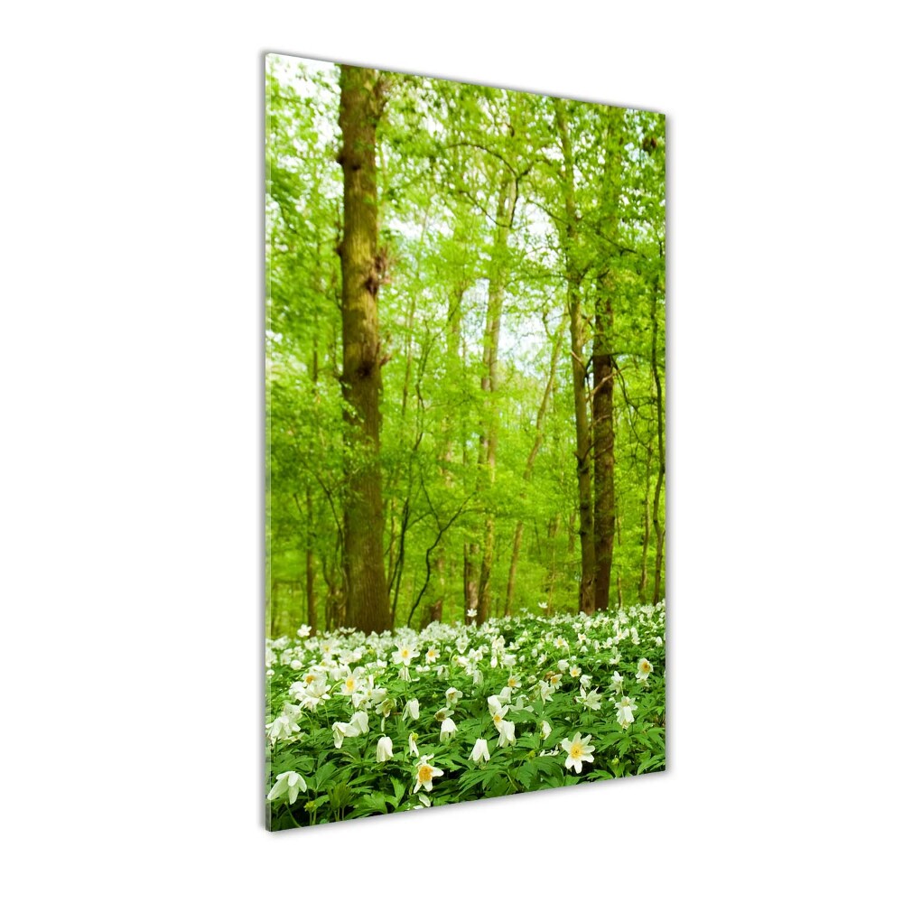 Photo printed on glass Flowers in the forest