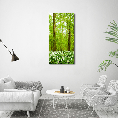 Photo printed on glass Flowers in the forest