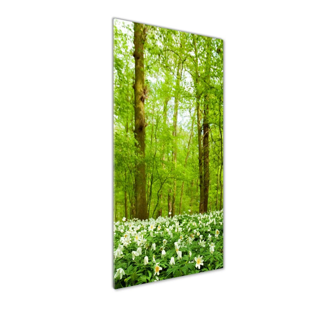 Photo printed on glass Flowers in the forest