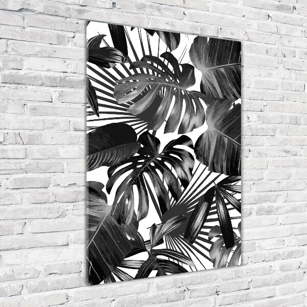 Photo printed on glass Tropical leaves