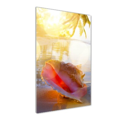 Photo printed on glass Beach shell