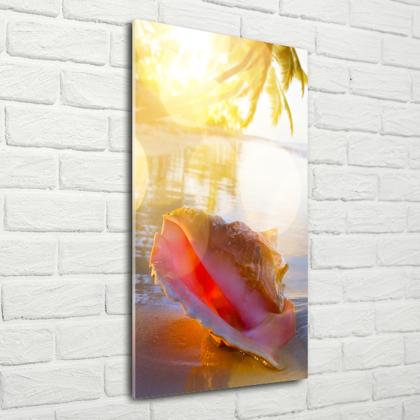 Photo printed on glass Beach shell