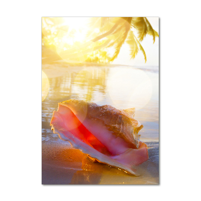 Photo printed on glass Beach shell