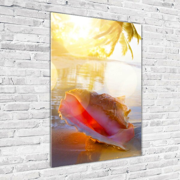 Photo printed on glass Beach shell