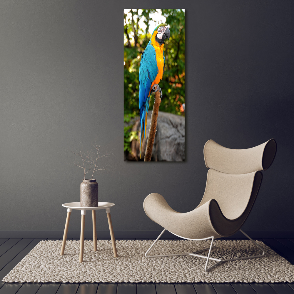 Glass wall art Ara parrot