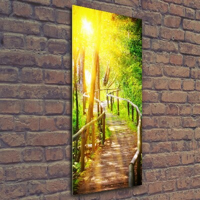 Photo printed on glass Path in the forest