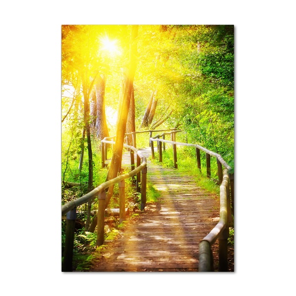 Photo printed on glass Path in the forest