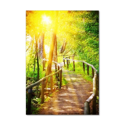 Photo printed on glass Path in the forest