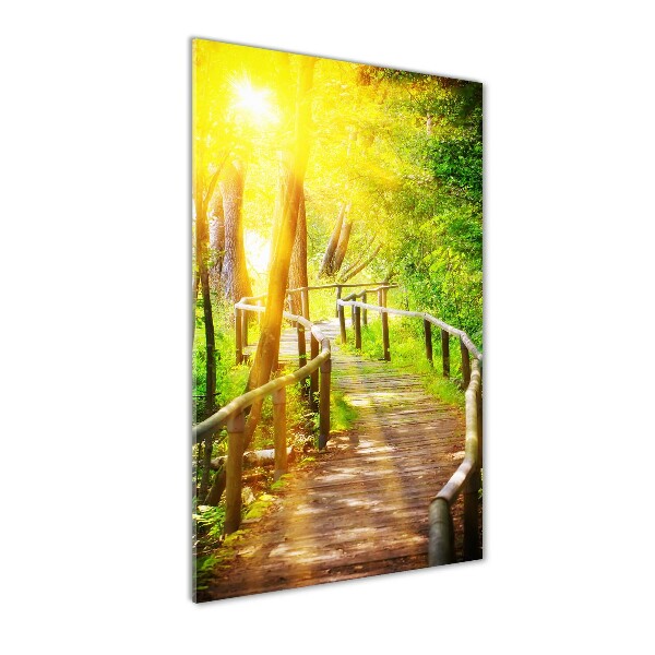 Photo printed on glass Path in the forest