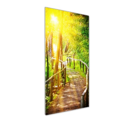 Photo printed on glass Path in the forest