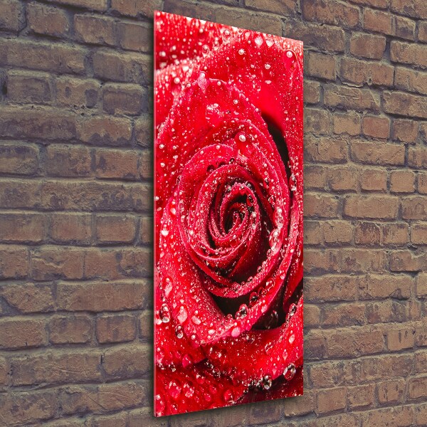 Photo printed on glass Red rose