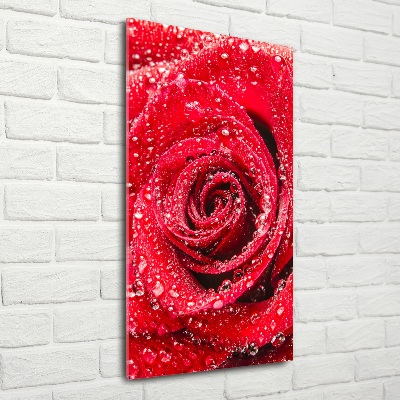 Photo printed on glass Red rose