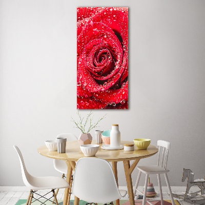 Photo printed on glass Red rose