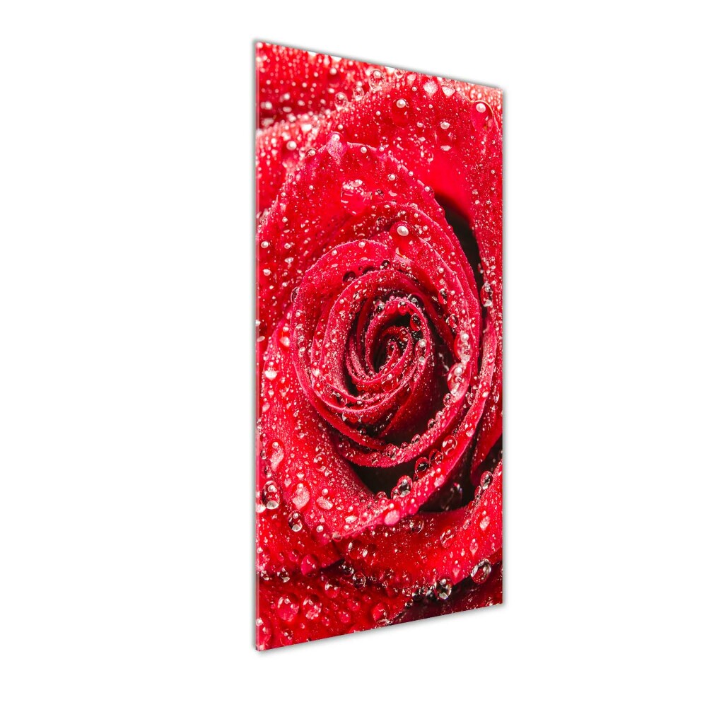 Photo printed on glass Red rose