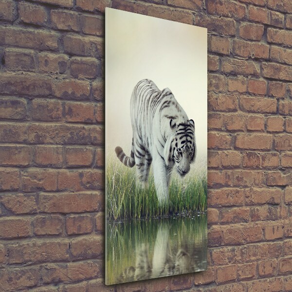 Wall art on glass White Tiger