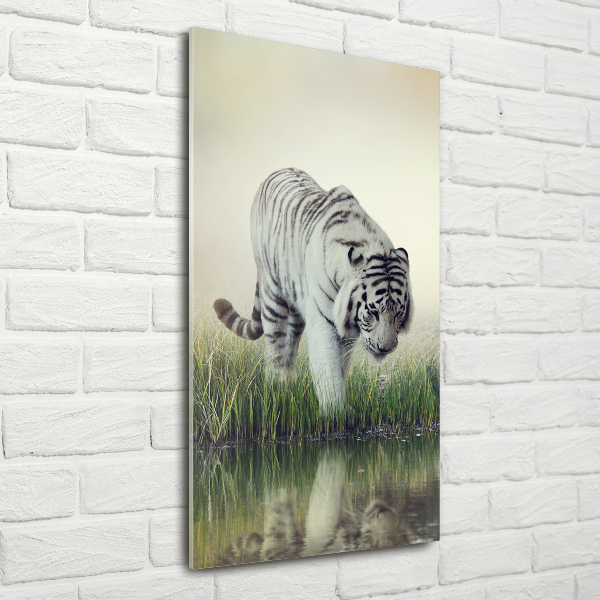 Wall art on glass White Tiger