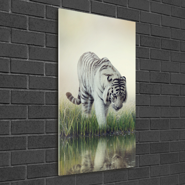 Wall art on glass White Tiger