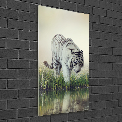 Wall art on glass White Tiger