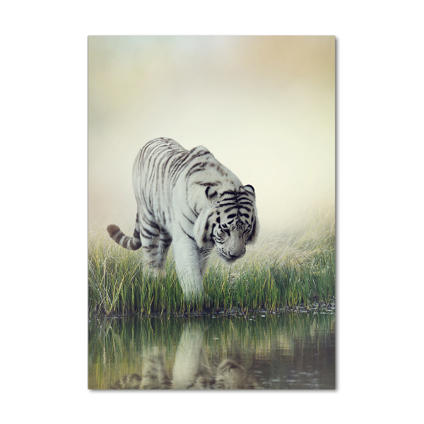 Wall art on glass White Tiger