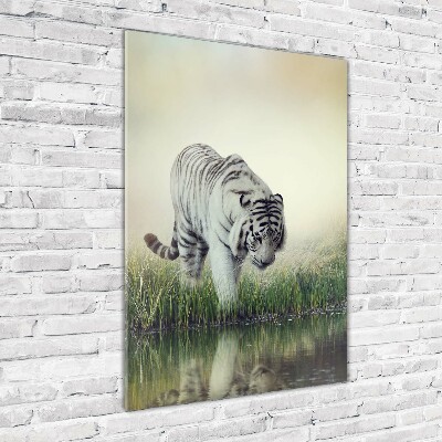 Wall art on glass White Tiger