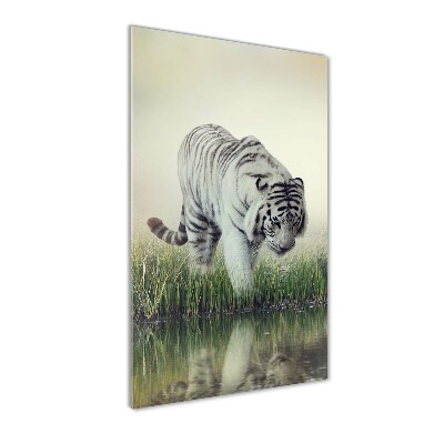 Wall art on glass White Tiger