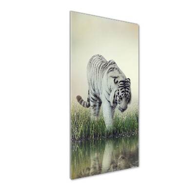 Wall art on glass White Tiger