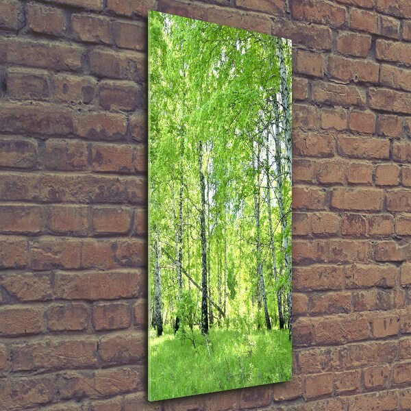 Glass picture wall art Birch forest