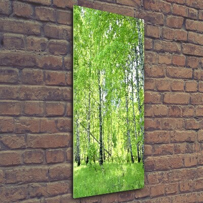 Glass picture wall art Birch forest