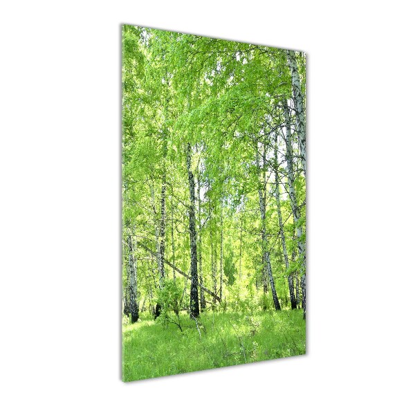 Glass picture wall art Birch forest