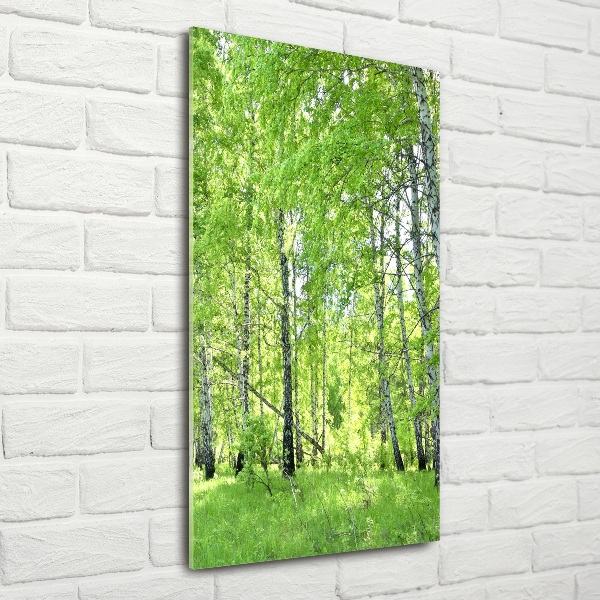 Glass picture wall art Birch forest